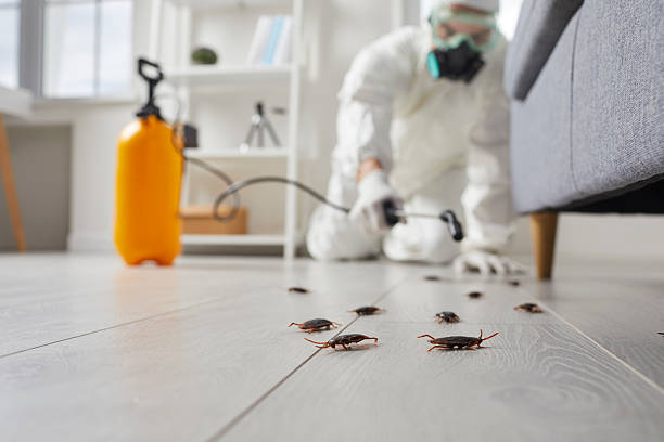 Post-Treatment Bed Bug Interceptor Monitoring in Unionville