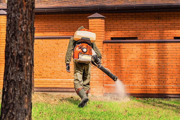 Bed Bug Clearance Verification and Documentation in Unionville